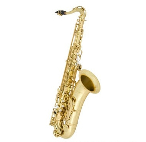 Antigua Saxophone AS4240LQ 알토색소폰